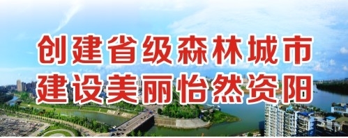 鸡巴插逼逼里面的视频免费无风险创建省级森林城市 建设美丽怡然资阳