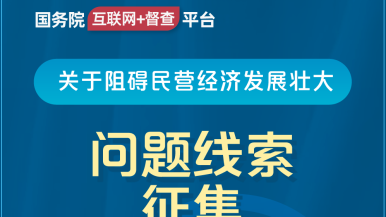 激情艹逼国务院“互联网+督查”平台公开征集阻碍民营经济发展壮大问题线索